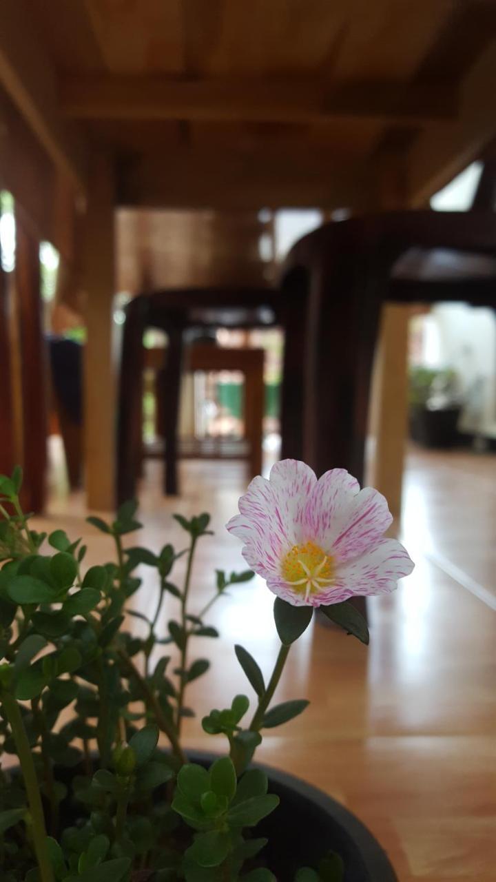 Ranga Villa هيكادوفا المظهر الخارجي الصورة